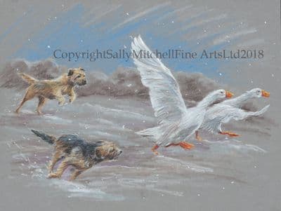 Border Terrier Chasing Geese Blank Greetings Card 'Christmas Chase' by Paul Doyle C556