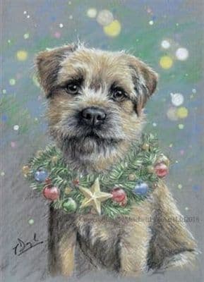 Border Terrier Christmas Cards 'Christmas Star' by Paul Doyle C555X