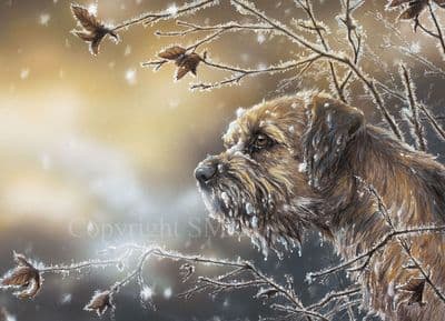 Border Terrier Christmas Cards 'Frosty Border' by Paul Doyle C432X
