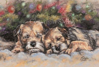 Border Terrier Christmas Cards 'Night Before Christmas' by Paul Doyle C452X