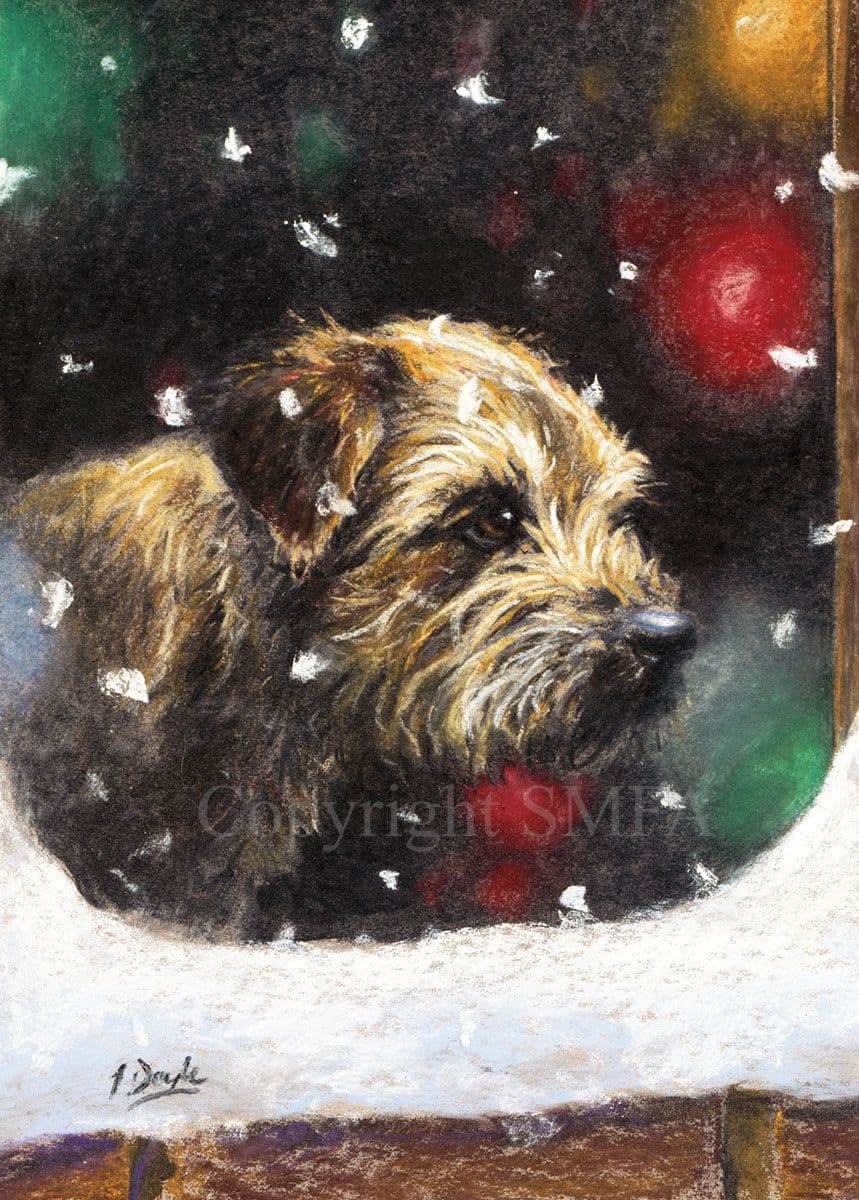 Border terrier christmas cards