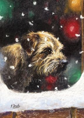 Border Terrier Christmas Cards 'Snowed In' by Paul Doyle C500X