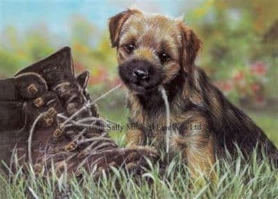 Border Terrier Christmas Cards 'Tongue Tied' by Paul Doyle C80X