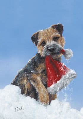 Border Terrier Dog Christmas Cards 'Santa's Assistant' by Paul Doyle C585X