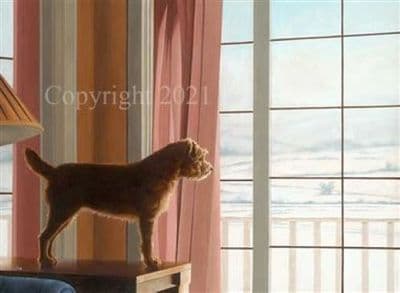 Border Terrier Limited Edition Print 'Admiring the View' by Paul Doyle