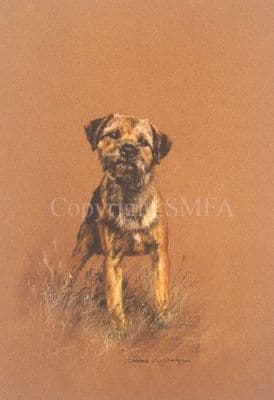 Border Terrier Limited Edition Print 'Attention' by Debbie Gillingham