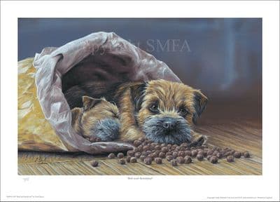 Border Terrier Limited Edition Print 'Bed and Breakfast' by Paul Doyle