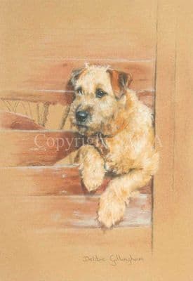 Border Terrier Limited Edition Print 'Border Fence' by Debbie Gillingham