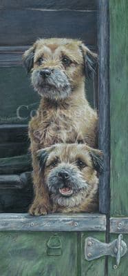 Border Terrier Limited Edition Print 'Borderlanders' by Paul Doyle