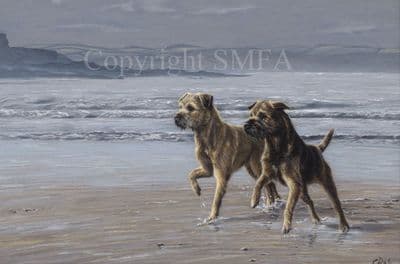 Border Terrier Limited Edition Print 'Coastal Borders' by Paul Doyle