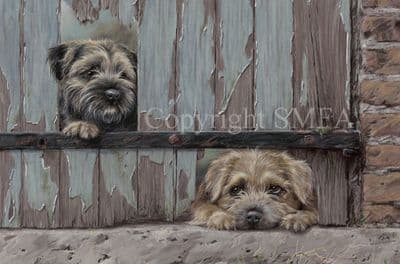 Border Terrier Limited Edition Print 'Mischief and Mayhem' by Paul Doyle