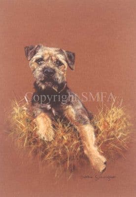 Border Terrier Limited Edition Print 'Straw Dog' by Debbie Gillingham