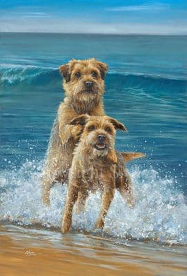 Border Terrier Limited Edition Print 'Surf Borders' by Paul Doyle