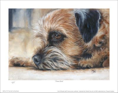 Border Terrier Limited Edition Print 'Time Out' by Paul Doyle