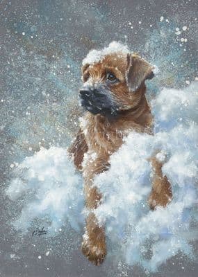 Border Terrier Pack of 10 Christmas Cards 'A Christmas Wish' by Paul Doyle C638X