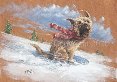 Border Terrier Pack of 10 Christmas Cards 'Border on Board' by Paul Doyle C608X