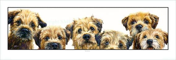 Border Terrier Signed Open Edition Print 'Borderline' by Paul Doyle