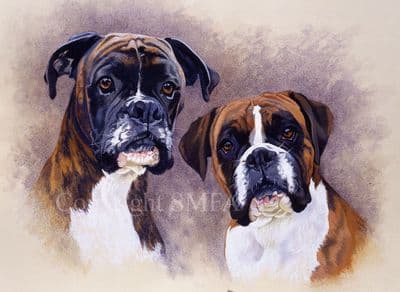 Boxer Blank Greeting Card  'Chums' by Margaret Hawkes C82