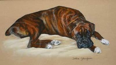 Boxer Limited Edition Print 'In Trouble Again' by Debbie Gillingham