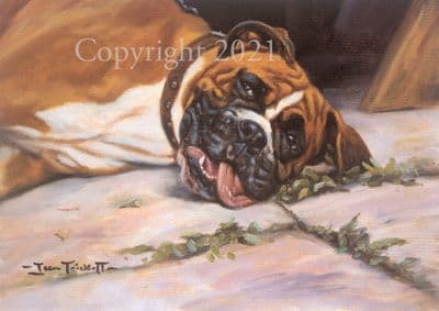 Boxer Limited Edition Print 'Out for the Count' by John Trickett