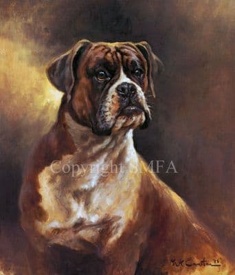 Boxer Limited Edition Print 'Portrait Of A Boxer' by Mick Cawston