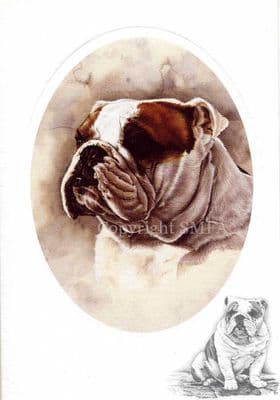 Bull Dog Puppy Blank Greetings Card 