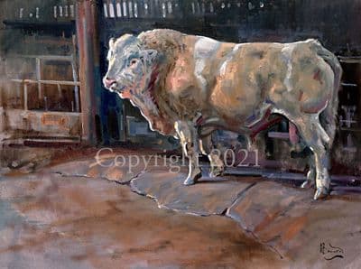 Bull Limited Edition Print 'Ladies Man' by Malcolm Coward