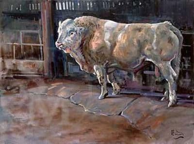 Bull Original Oil on Canvas 'The Ladies Man' by Malcolm Coward