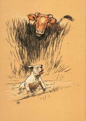 Bull Terrier Blank Greetings Card 'Bulls Eye' by Cecil Aldin C292