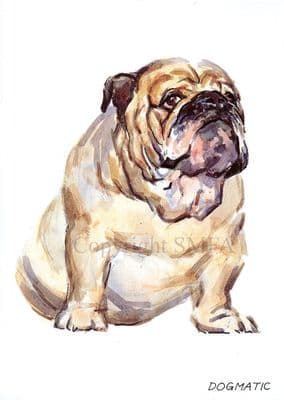 Bulldog Funny Blank Greetings Card 'Dogmatic' A 'Mal-Adjusted' Card by Malcolm Coward M035