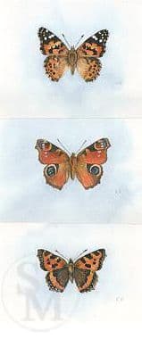 Butterfly Open Edition Print 'Butterflies' by Lesley Ann Hartman