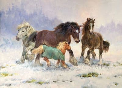 C543x  'The Christmas Jumper' Heavy Horse Christmas Cards