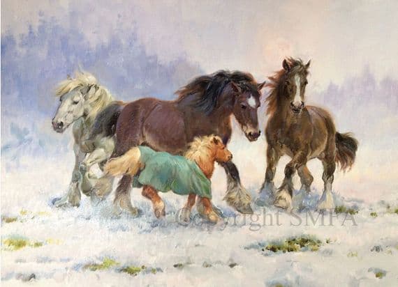 C543x  'The Christmas Jumper' Heavy Horse Christmas Cards