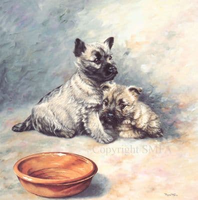 Cairn Terrier Limited Edition Print 'Big Brother' by Pippa Thew