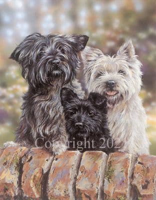 Cairn Terrier Limited Edition Print Neighbourhood Watch by Paul Doyle