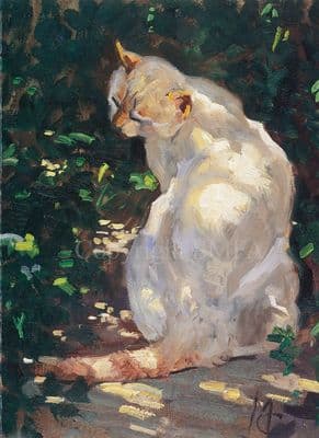 Cat Blank Greetings Card 'Purrfect' by Malcolm Coward C50