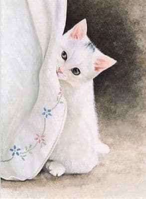 Cat Blank Greetings Card 'Snowy' by Josephine Copley B114