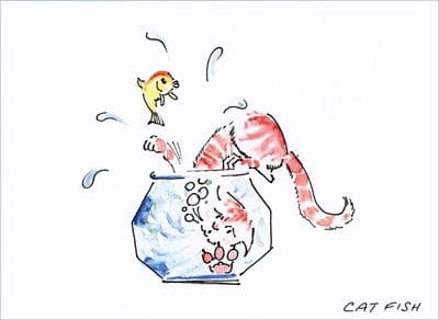 Cat Funny Blank Greetings Card 'Cat Fish' by Malcolm Coward M017