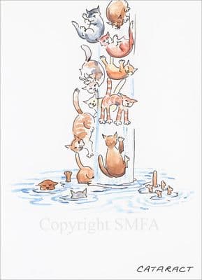 Cat Funny Blank Greetings Card 'Cataract' by Malcolm Coward M025