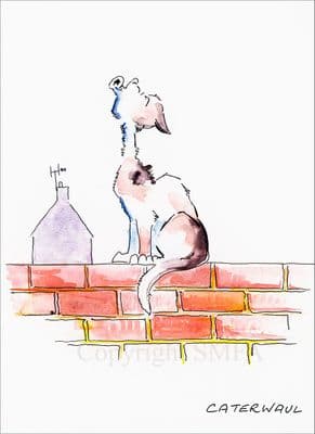 Cat Funny Blank Greetings Card 'Caterwaul' by Malcolm Coward M027