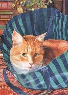 Cat Ginger Blank Greetings Card  'Bag Lady' by Chrissy Snelling B110