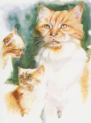 Cat Ginger Blank Greetings Card 'The Ginger Tom'  by Esther Merchant C27