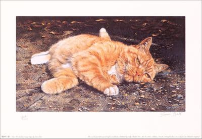 Cat Limited Edition Print 'Give Me Sunshine' by Sara Butt