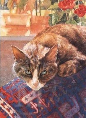 Cat Tabby Blank Greeting Card 'Pensive' by Chrissy Snelling B111