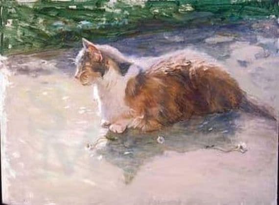 Cat Tabby  Blank Greetings Card 'He Loves Me, He Loves Me Not' by Iris Collett C222