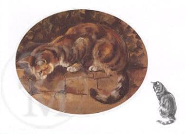 Cat Tabby Blank Greetings Card  'What Is It?' by Sarah Grice SE5