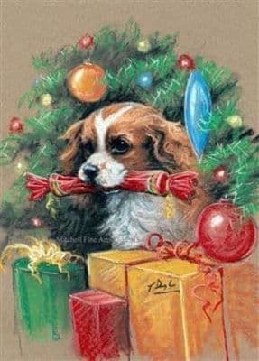 Cavalier King Charles Christmas Cards 'This Ones Mine' by Paul Doyle