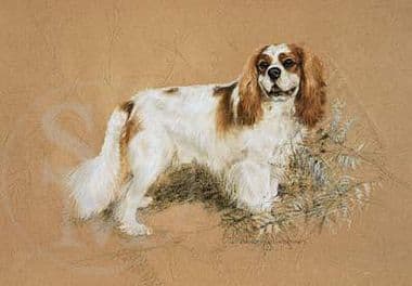 Cavalier King Charles Limited Edition Print 'Cavalier Days' by Debbie Gillingham
