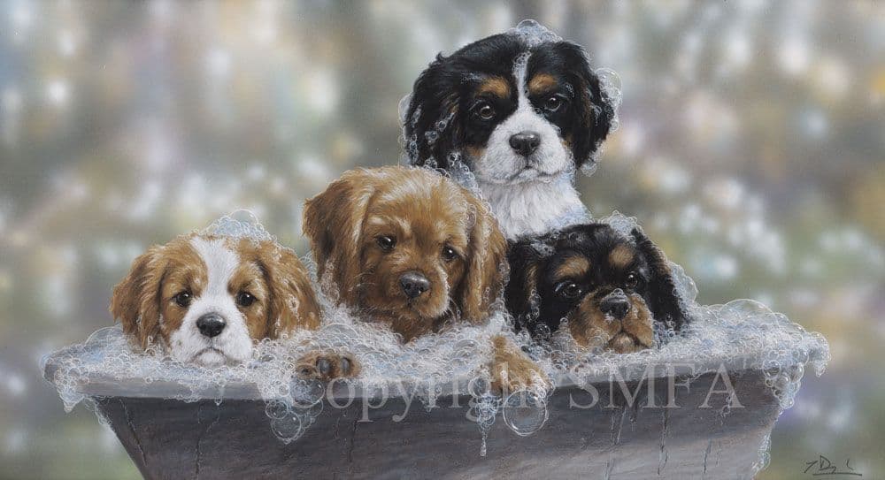 Comfort Retriever Golden Retriever X Cavalier Cavalier King - Main Image