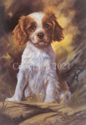 Cavalier King Charles Spaniel Puppy Limited Edition Print  'A Cavalier Attitude' by John Trickett